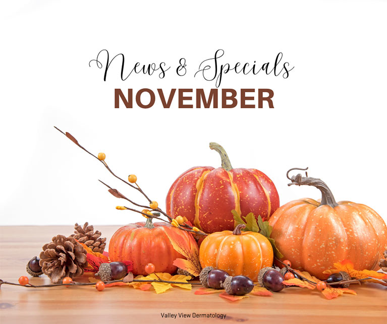 The words "November News and Specials" on a background of pumpkins, acorns and pinecones.
